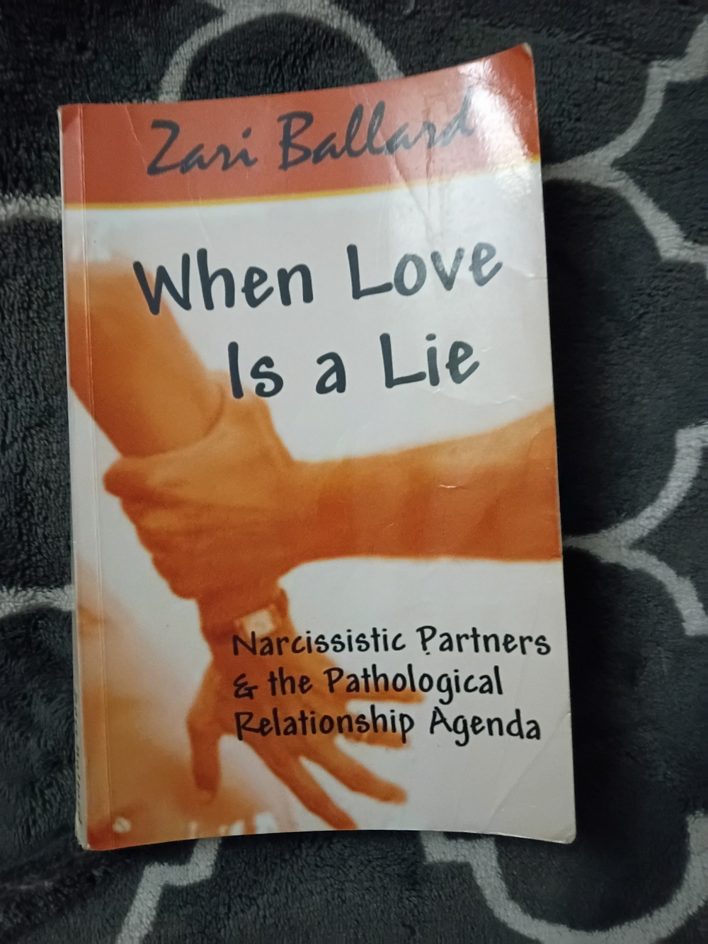 Book - When Love Is A Lie